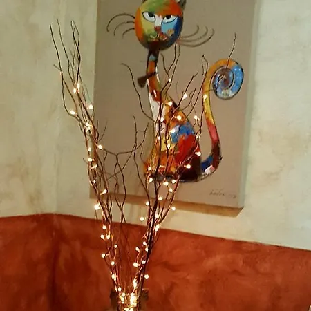 Casa vacanze Casapancho 1 Y 2 - - - Tenerife *