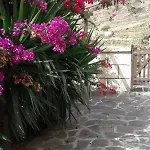 Vakantiehuis Casapancho 1 Y 2 - - - Tenerife *