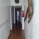 Casapancho 1 Y 2 - - - Tenerife Vakantiehuis *