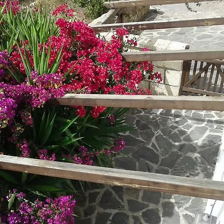 Casapancho 1 Y 2 - - - Tenerife Casa de Férias Fasnia